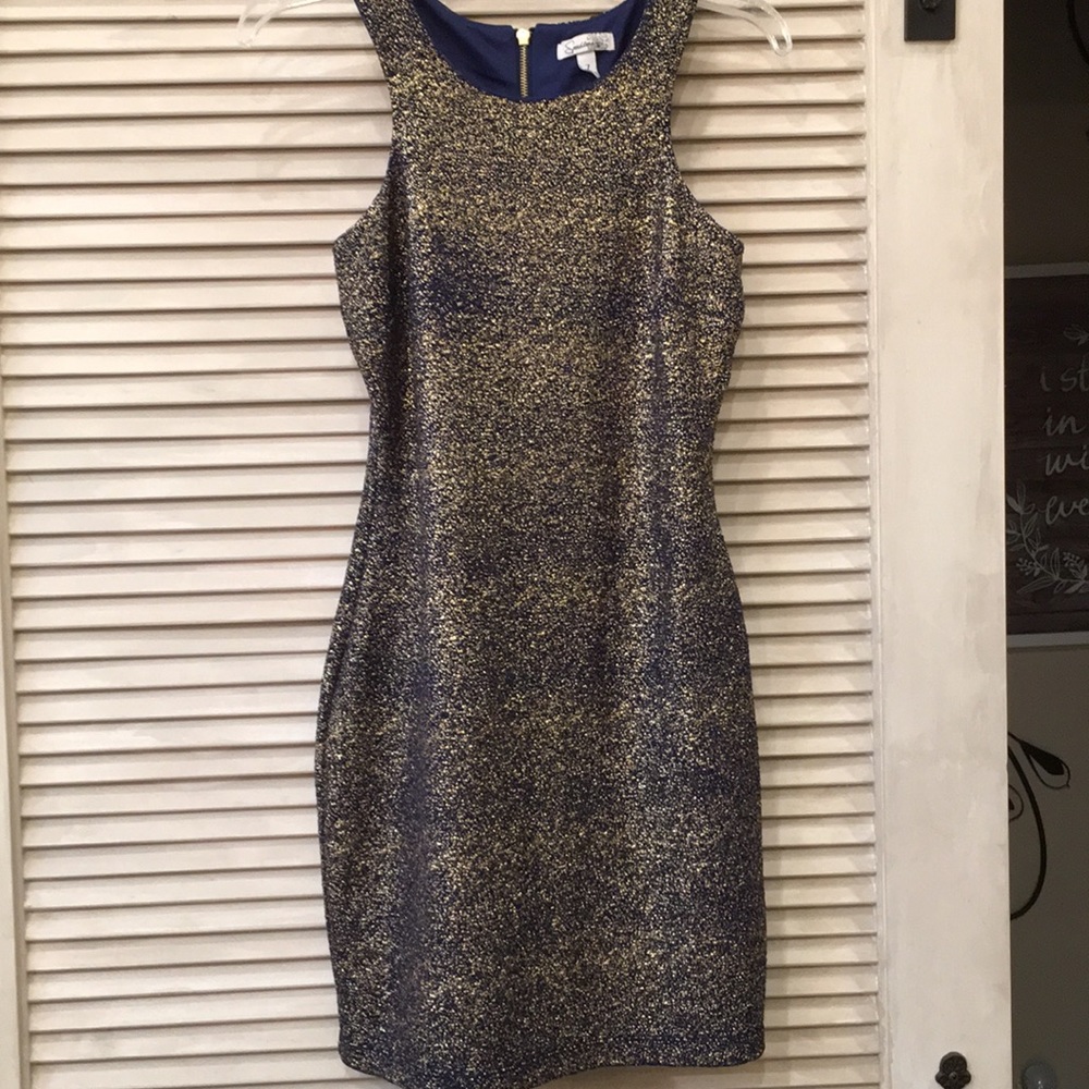 Beautiful sparkly bodycon dress